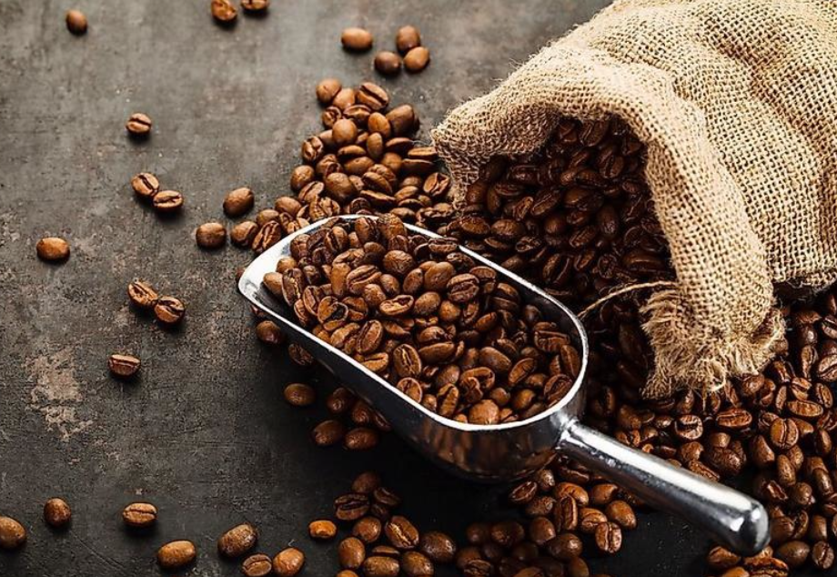 Hạt Cà Phê Robusta và America